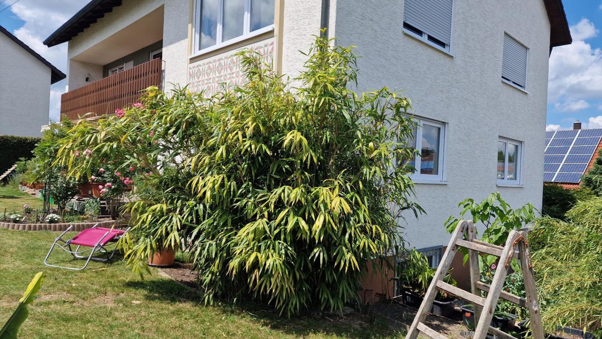 Ferienwohnung Wiesental 89331 Burgau, Wiesentalstrasse 1 Exterior foto